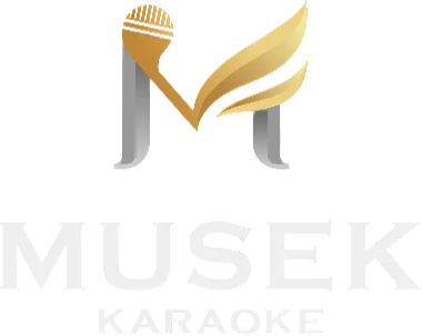 Musek Karaoke & Lounge